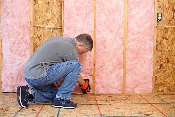 Best Insulation Removal Services  in USA